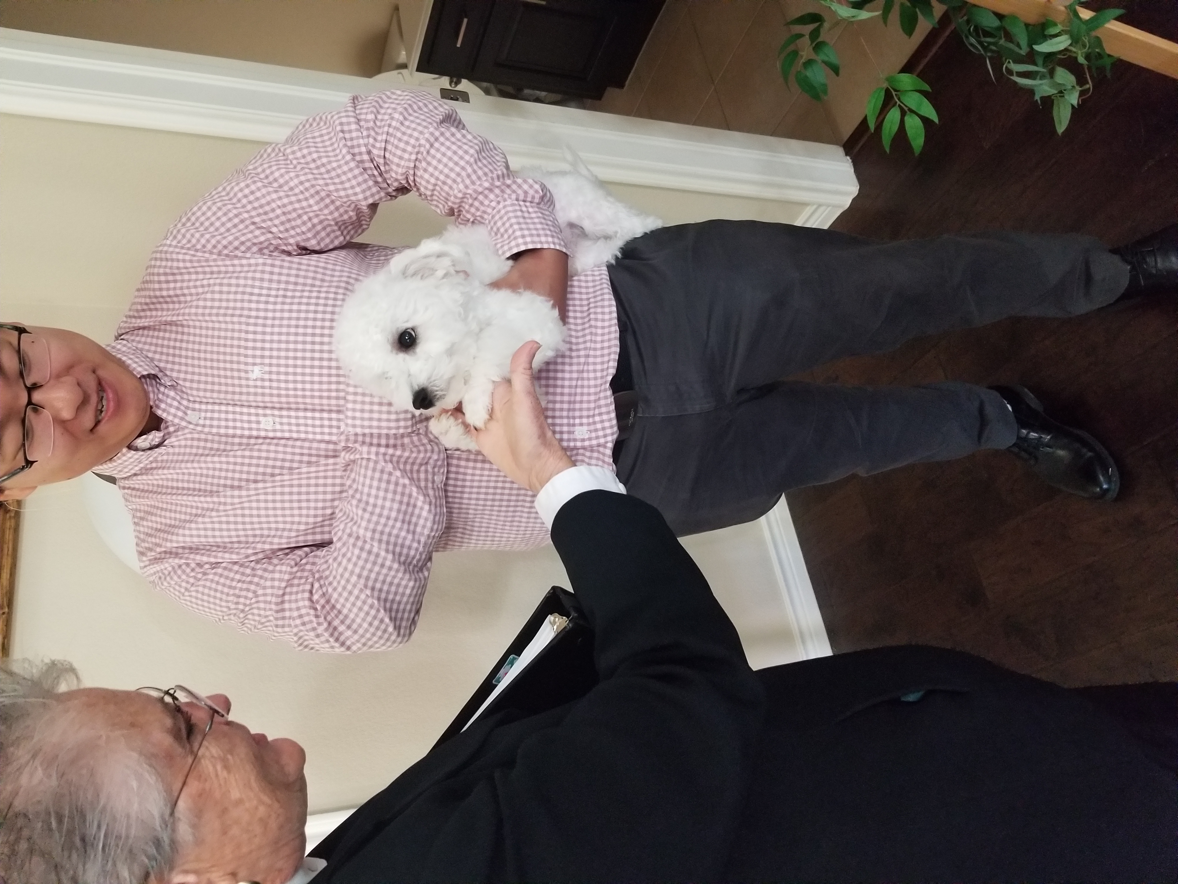 wedding officiant petting dog at wedding